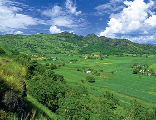 潛水、嬉戲、瀑布、遠足……斐濟得天獨厚的地理位置孕育出風(fēng)景如畫的海島天堂