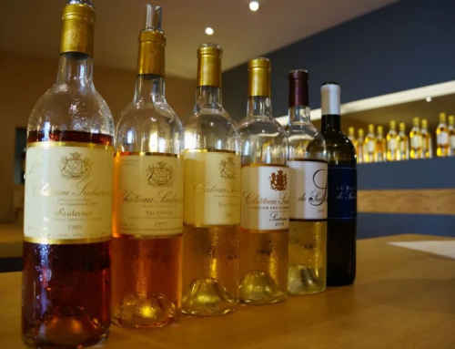 產(chǎn)區(qū)游第二篇——波爾多周末的自在（下）